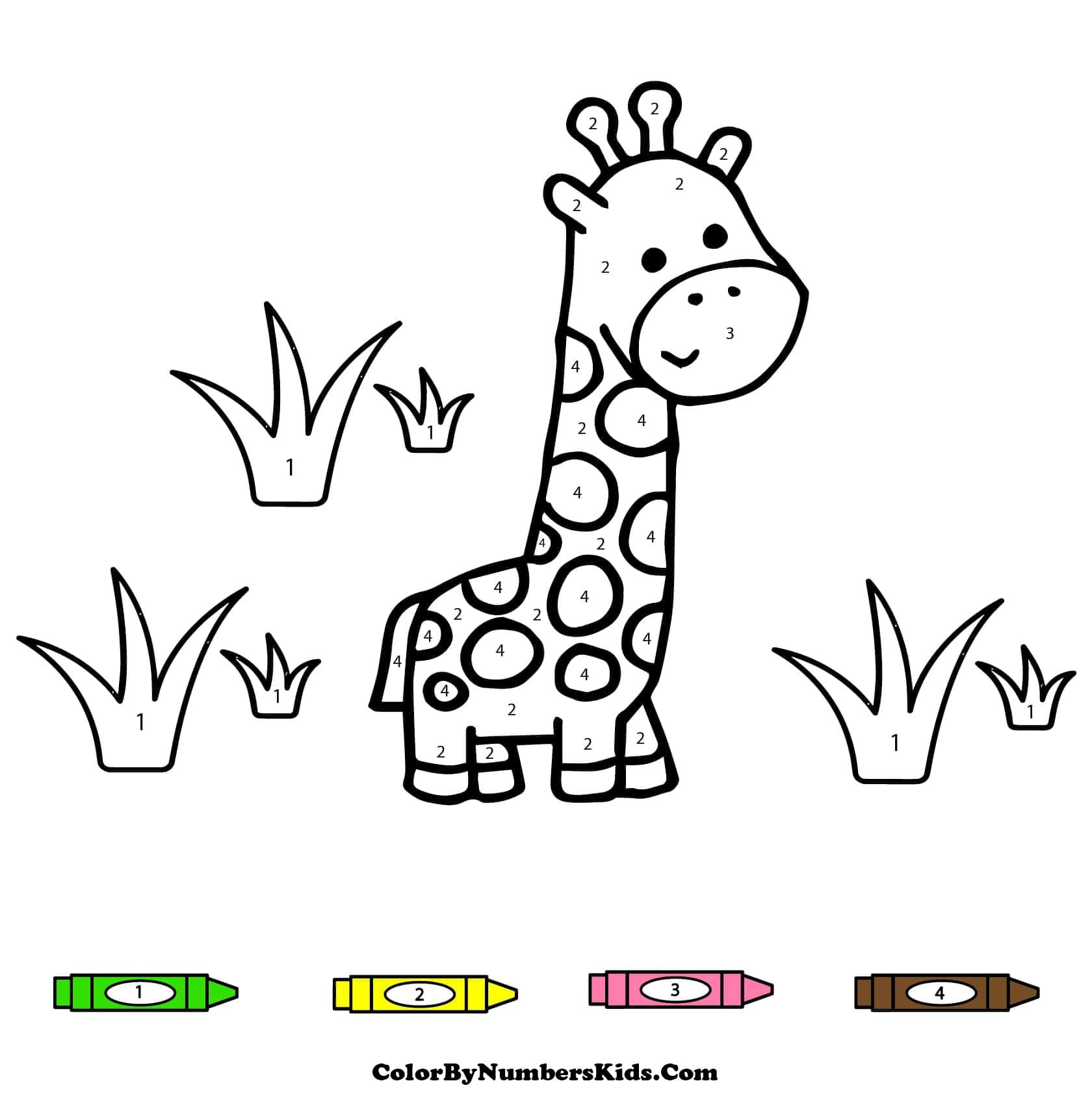 Baby Giraffe Color By Number