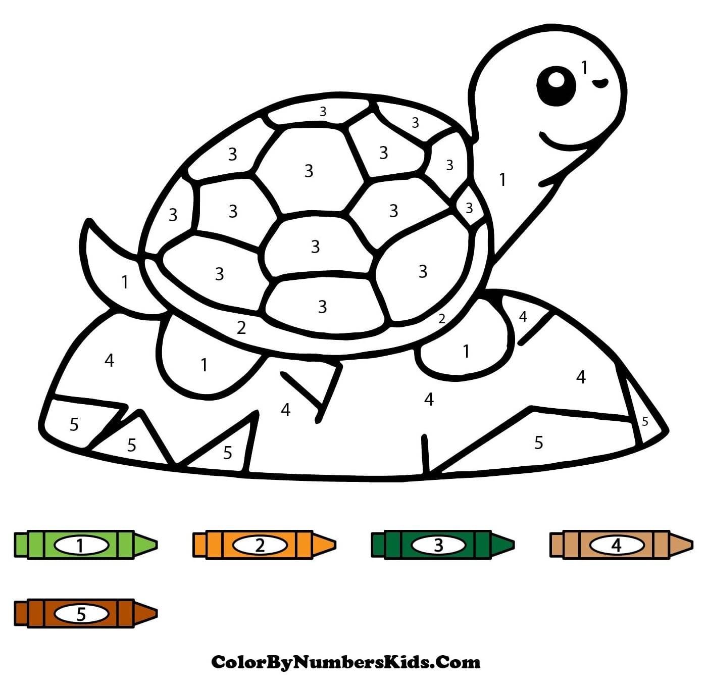 A Cute Turtle Color By Number
