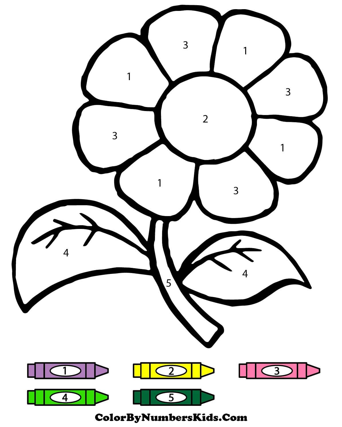A Flower Color By Number
