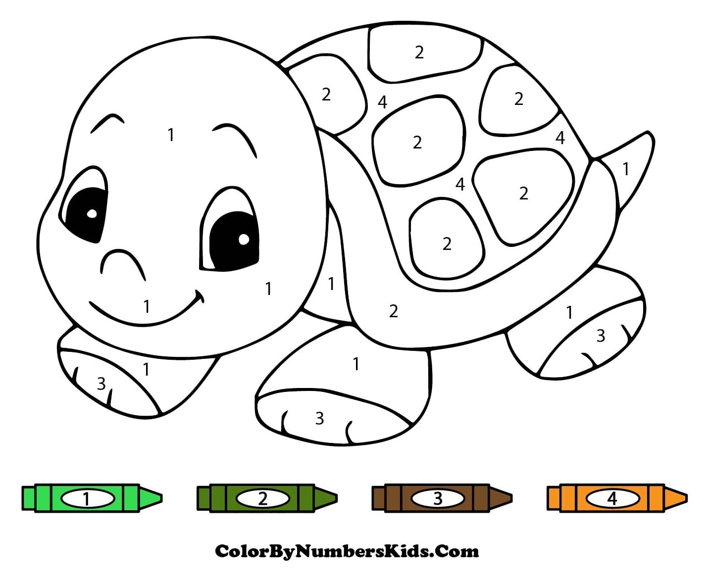 Baby Turtle Color By Number For Kids