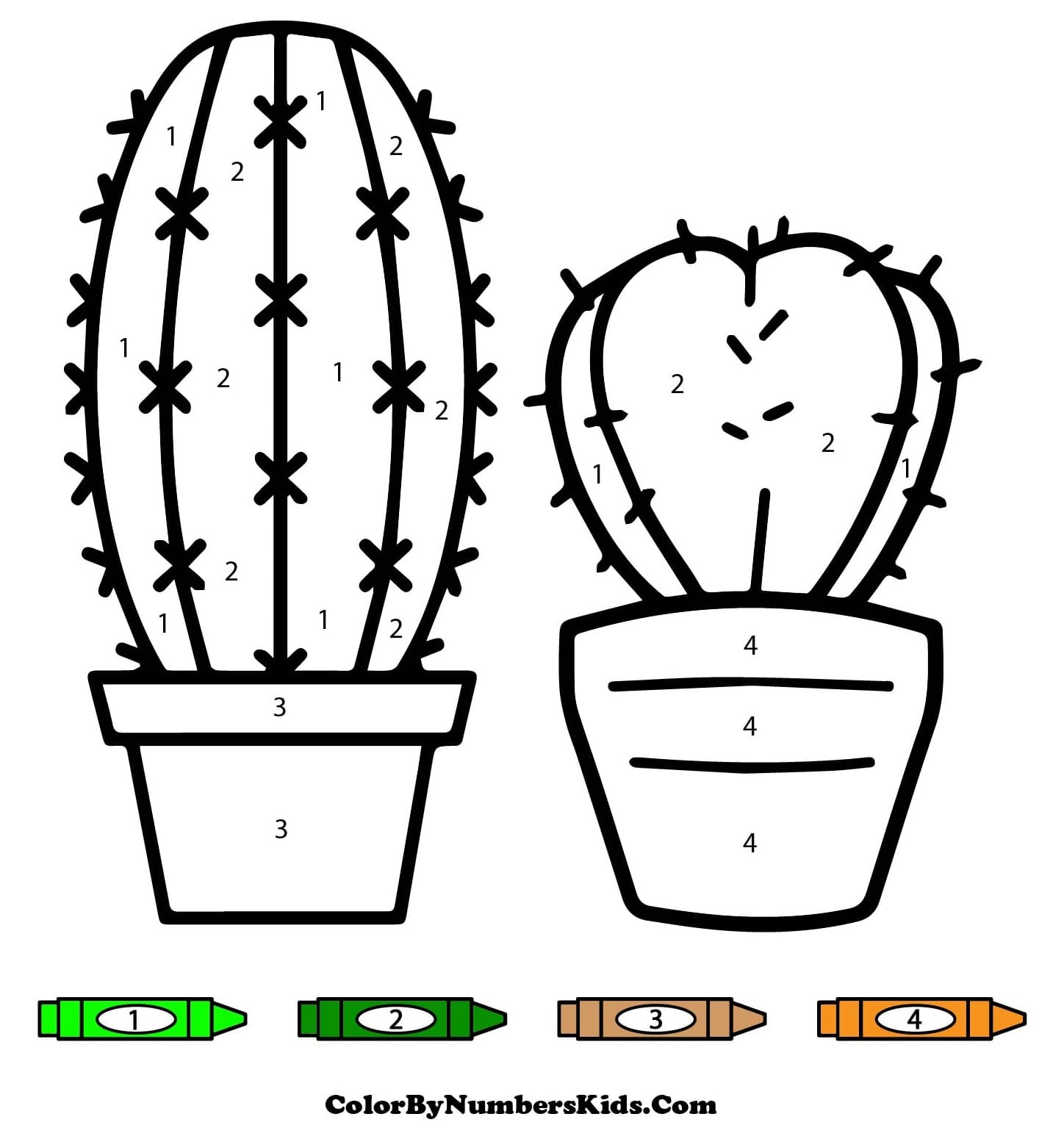 Cactus Plants Color By Number