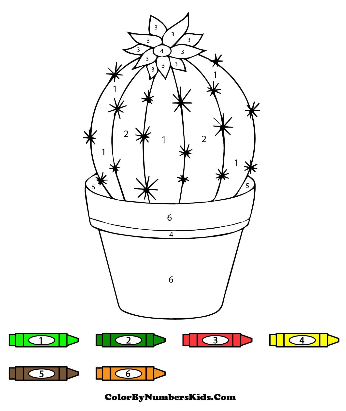 Cactus Pot Color By Number