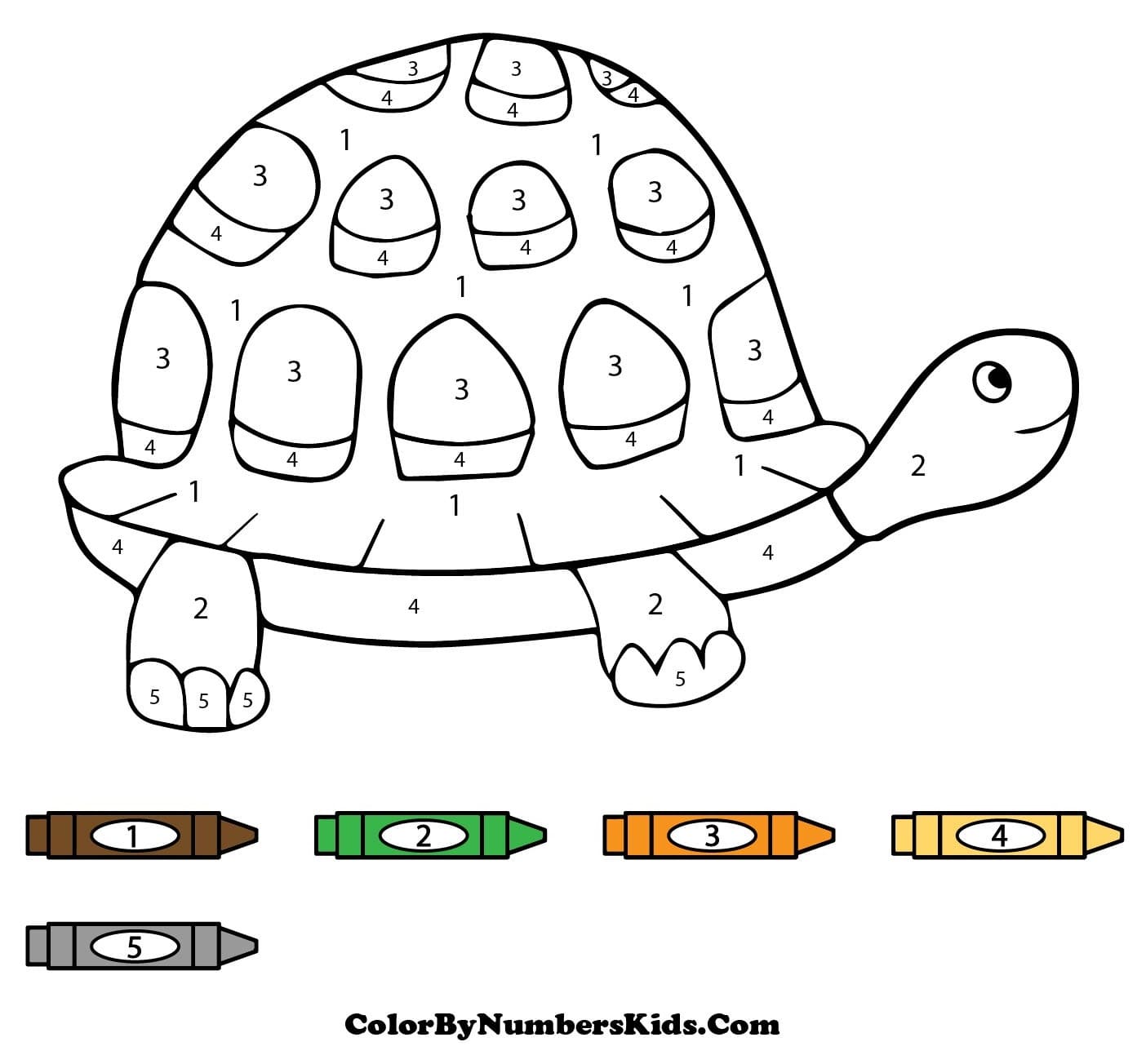 Cute Turtle Color By Number
