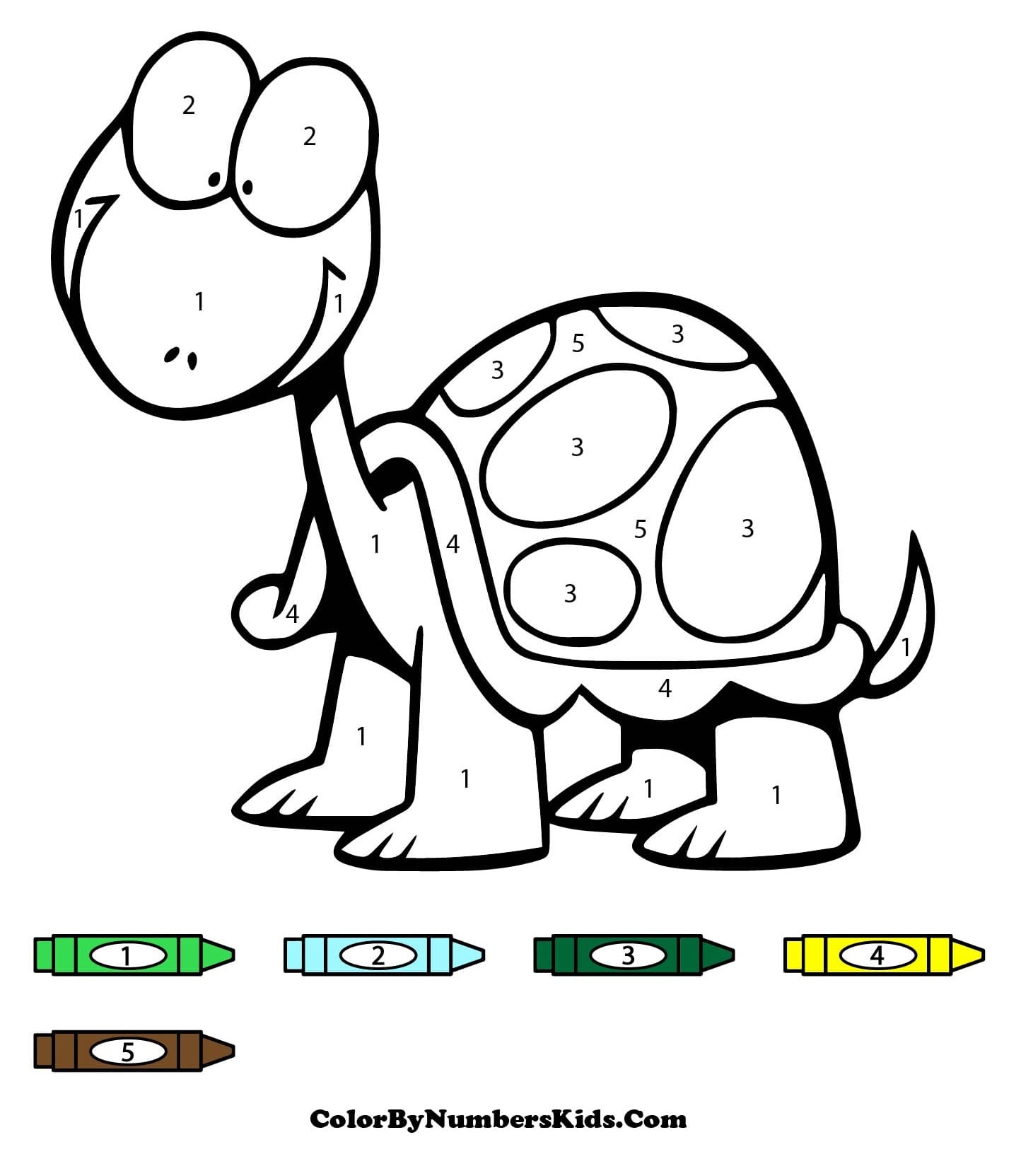 Funny Turtle Color By Number