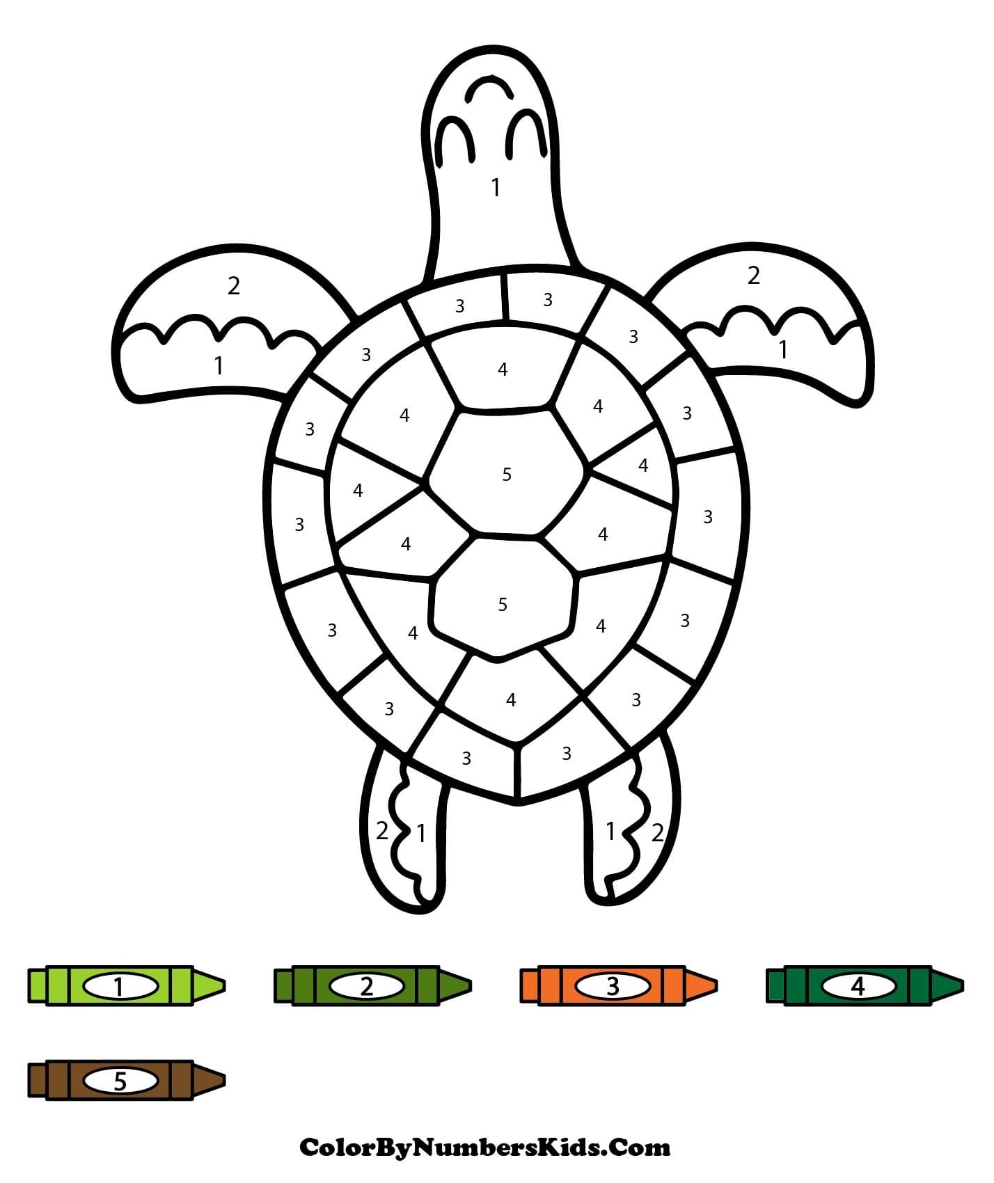 Turtle