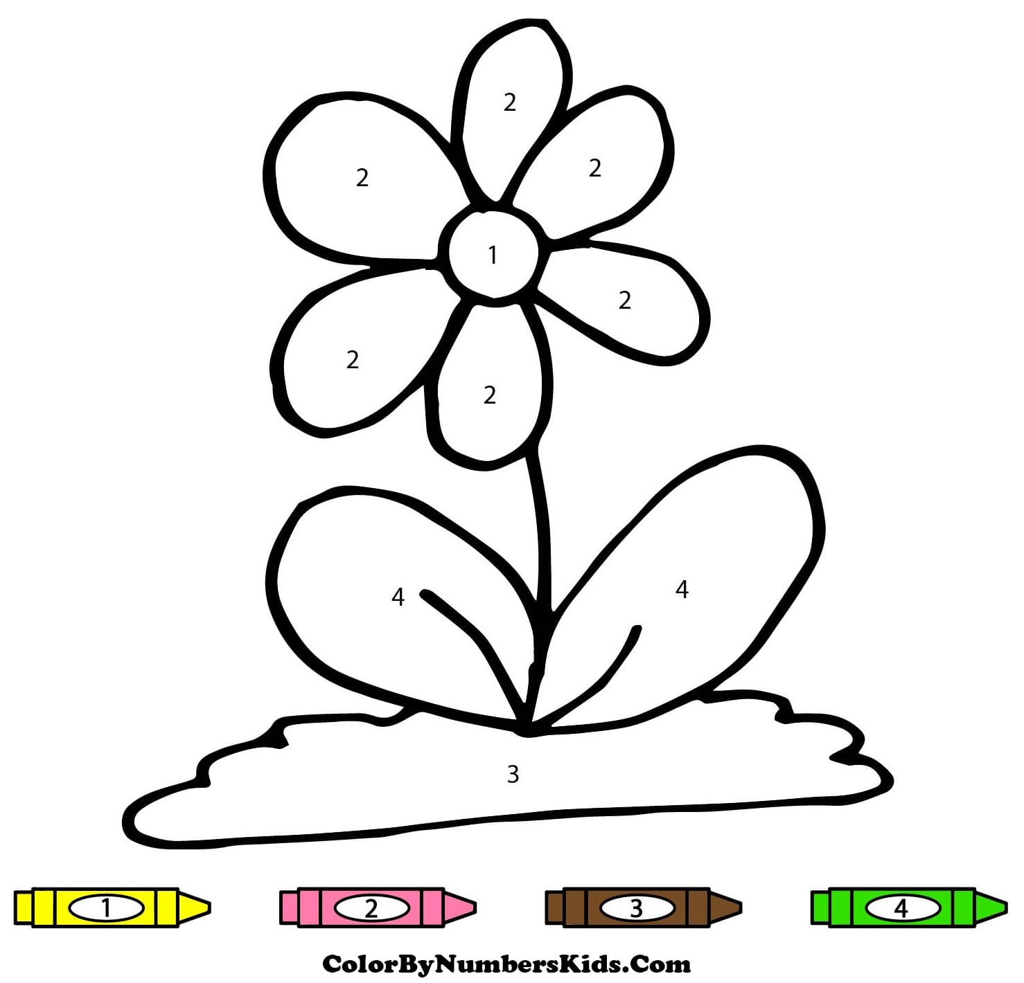 Simple Flower Color By Number