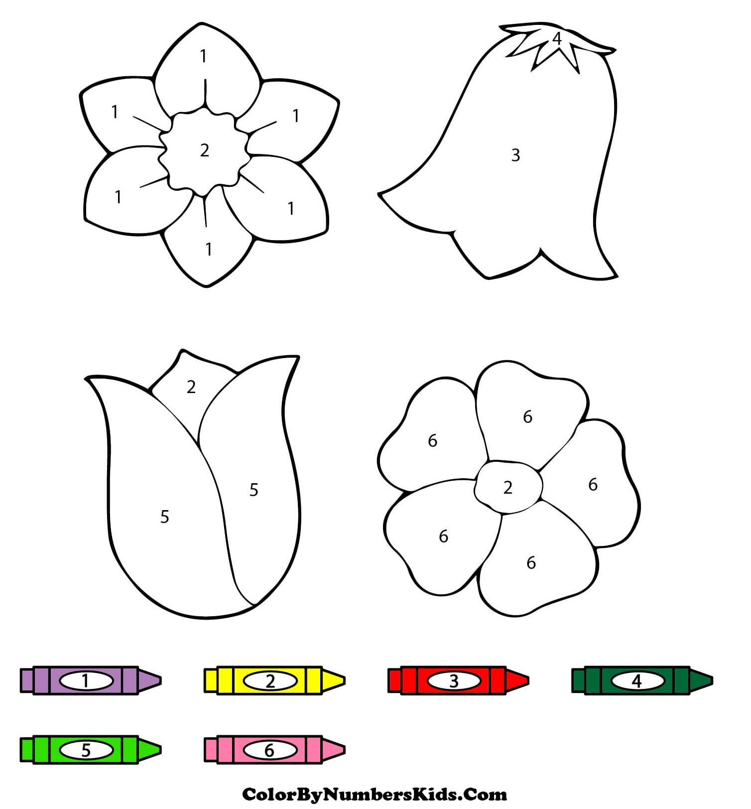 Simple Flowers Color By Number