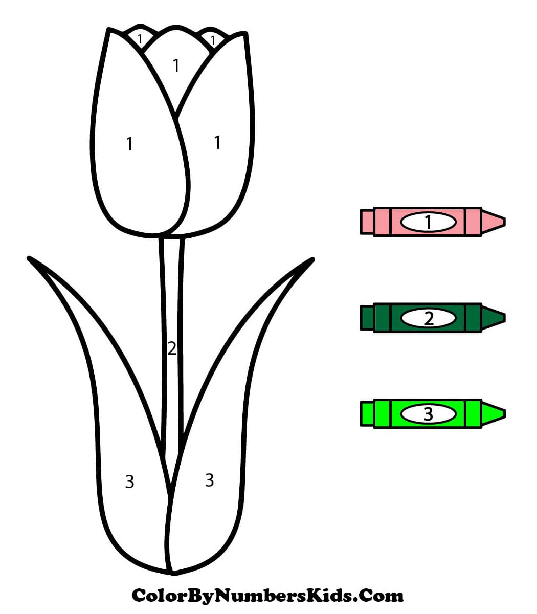 Simple Tulip Flower Color By Number