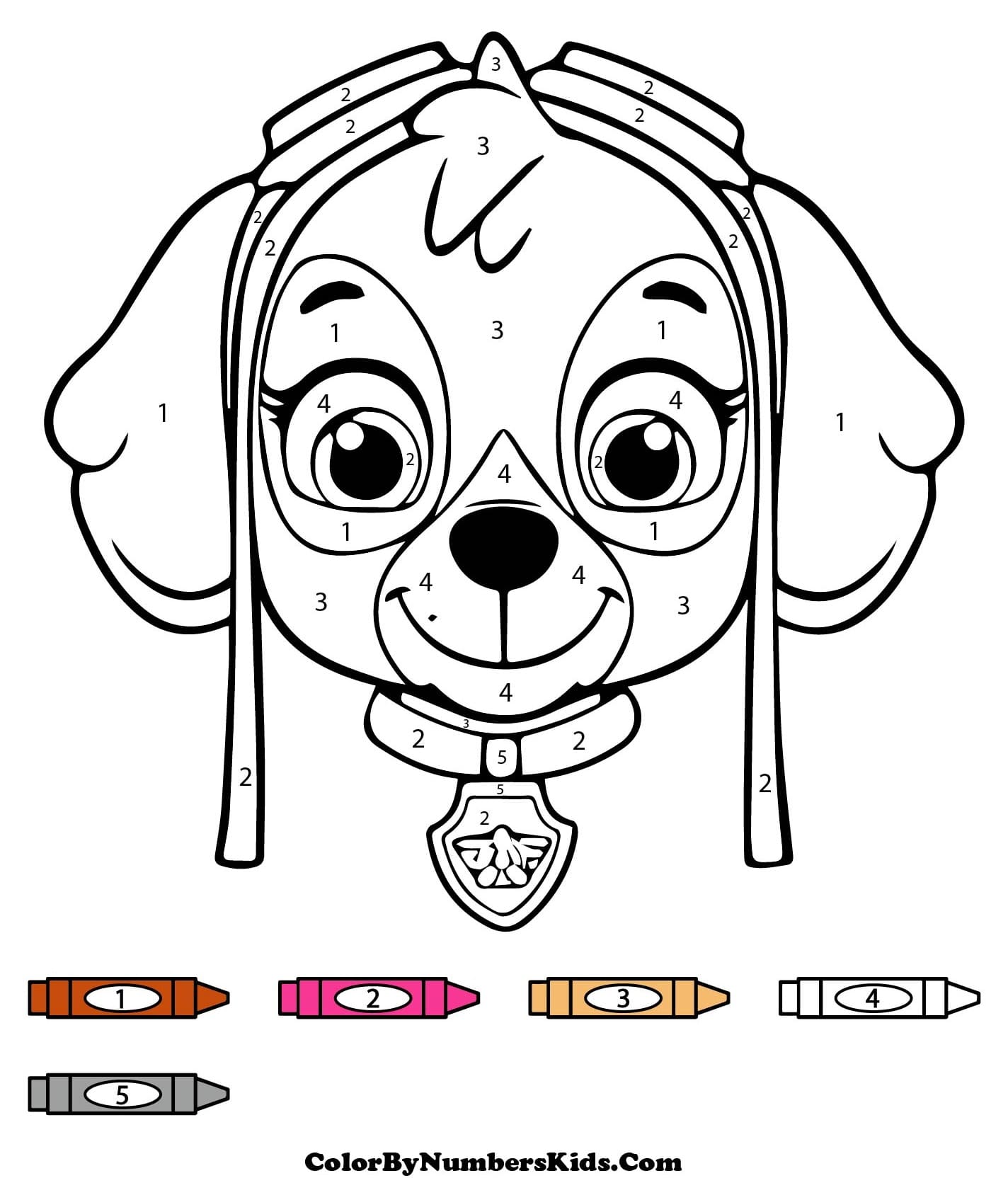 Skye Paw Patrol Color By Number