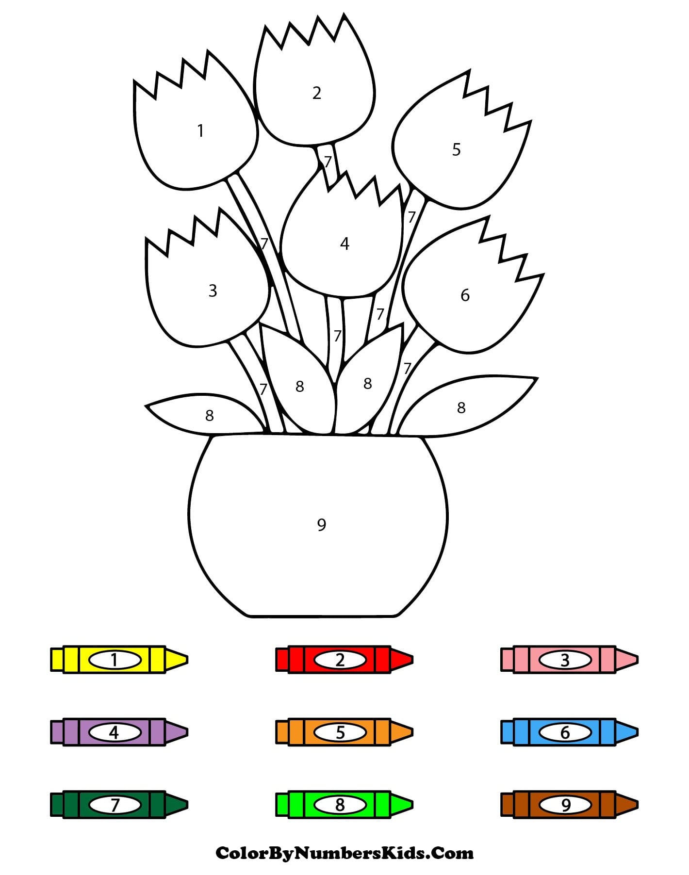Tulip Flower Pot Color By Number
