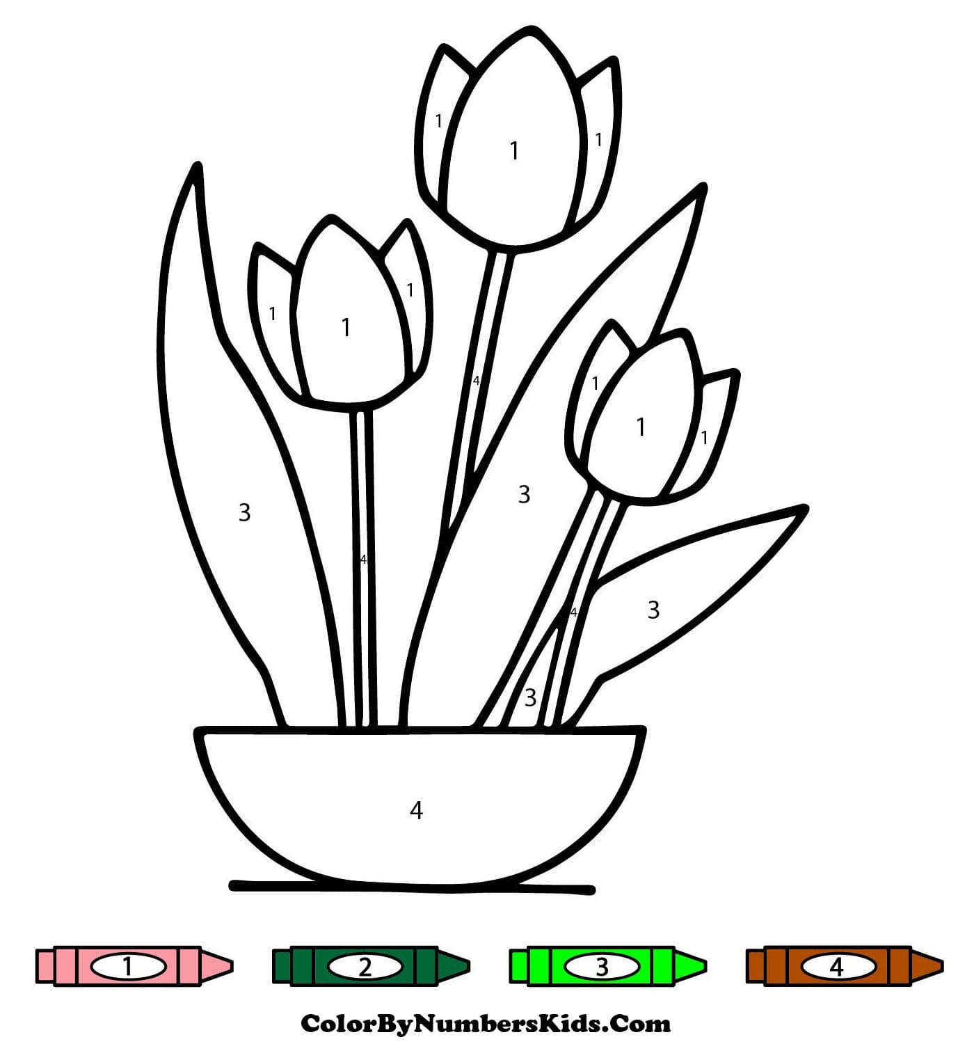 Tulips Flowers Color By Number