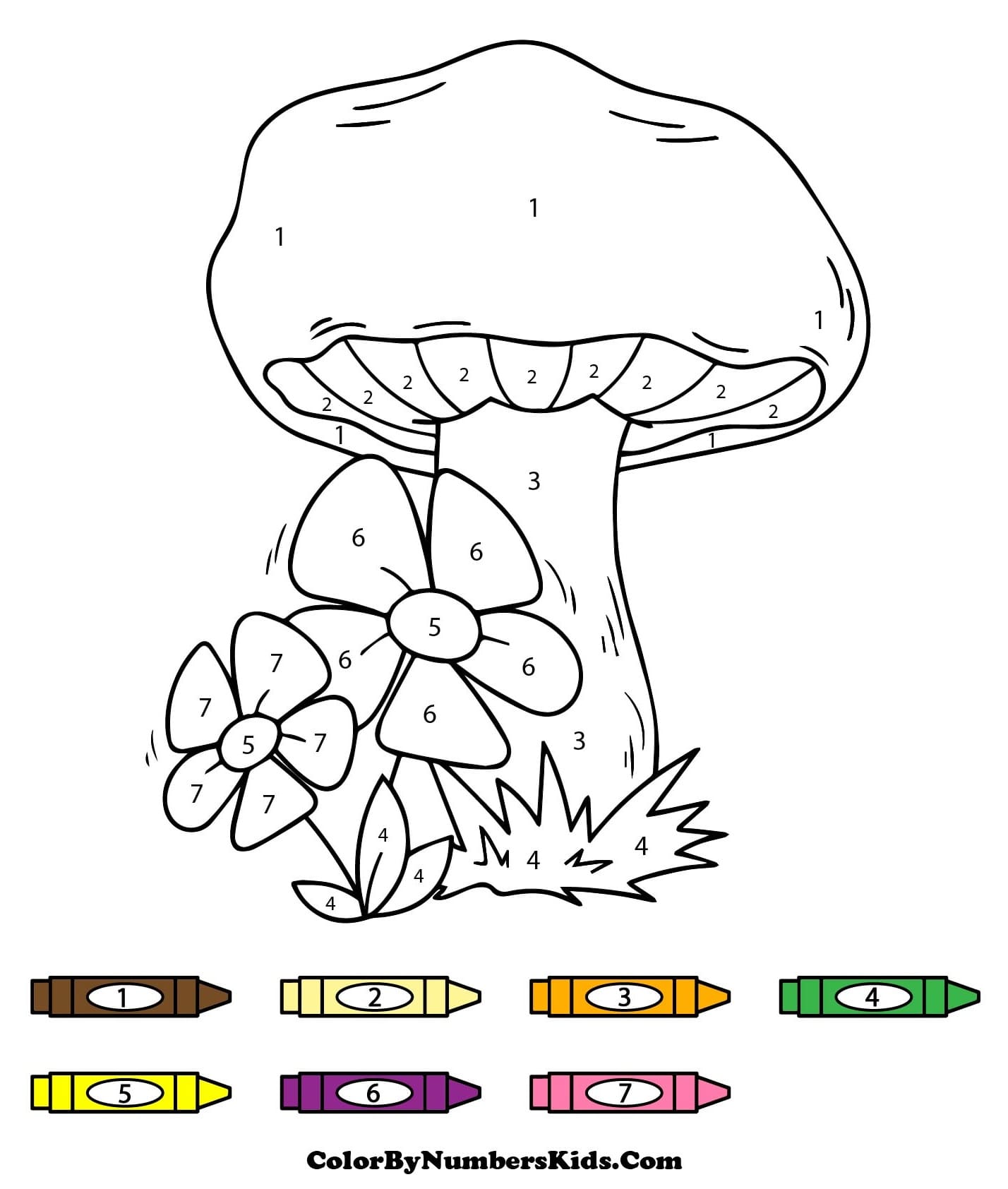 Flowers and Mushroom Color By Number