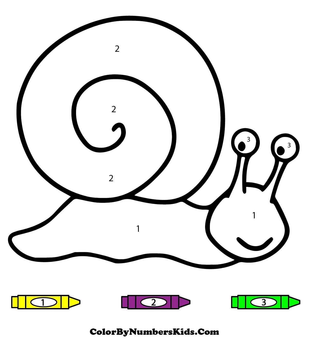 Small Snail Color By Number
