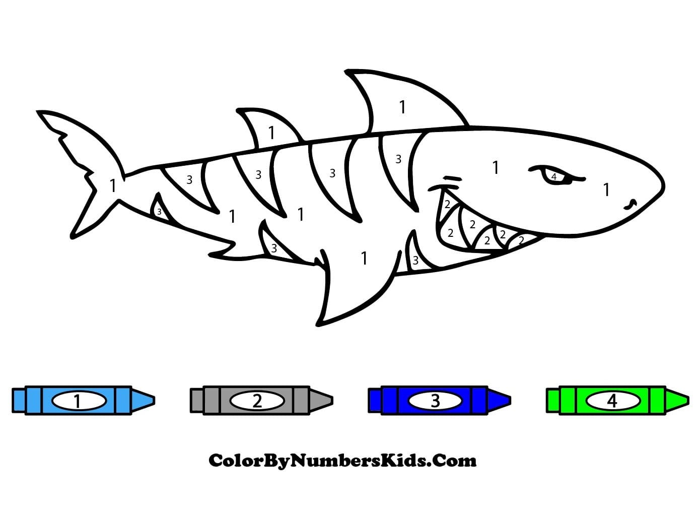 Tiger Shark Color By Number