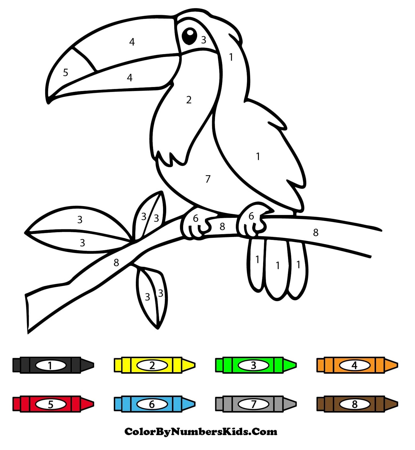 Toucan Bird Color By Number