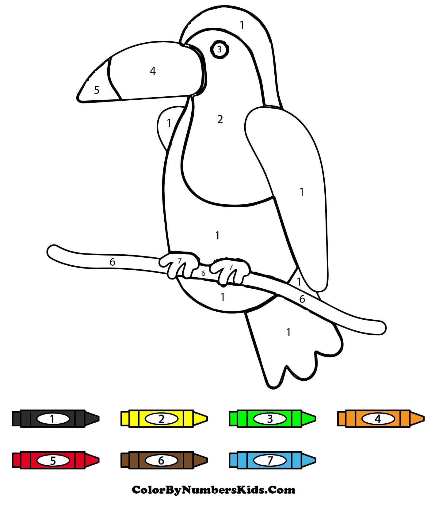 Toucan Color By Number For Kids