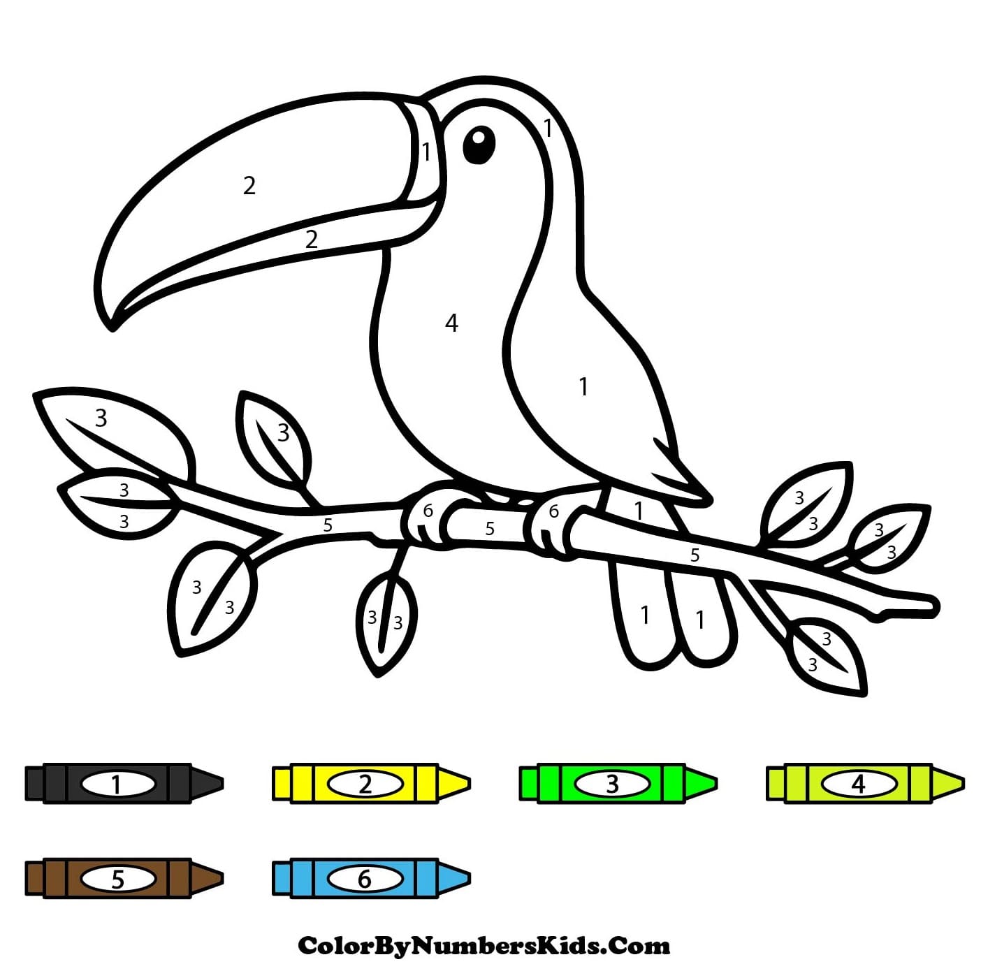 Toucan Color By Number