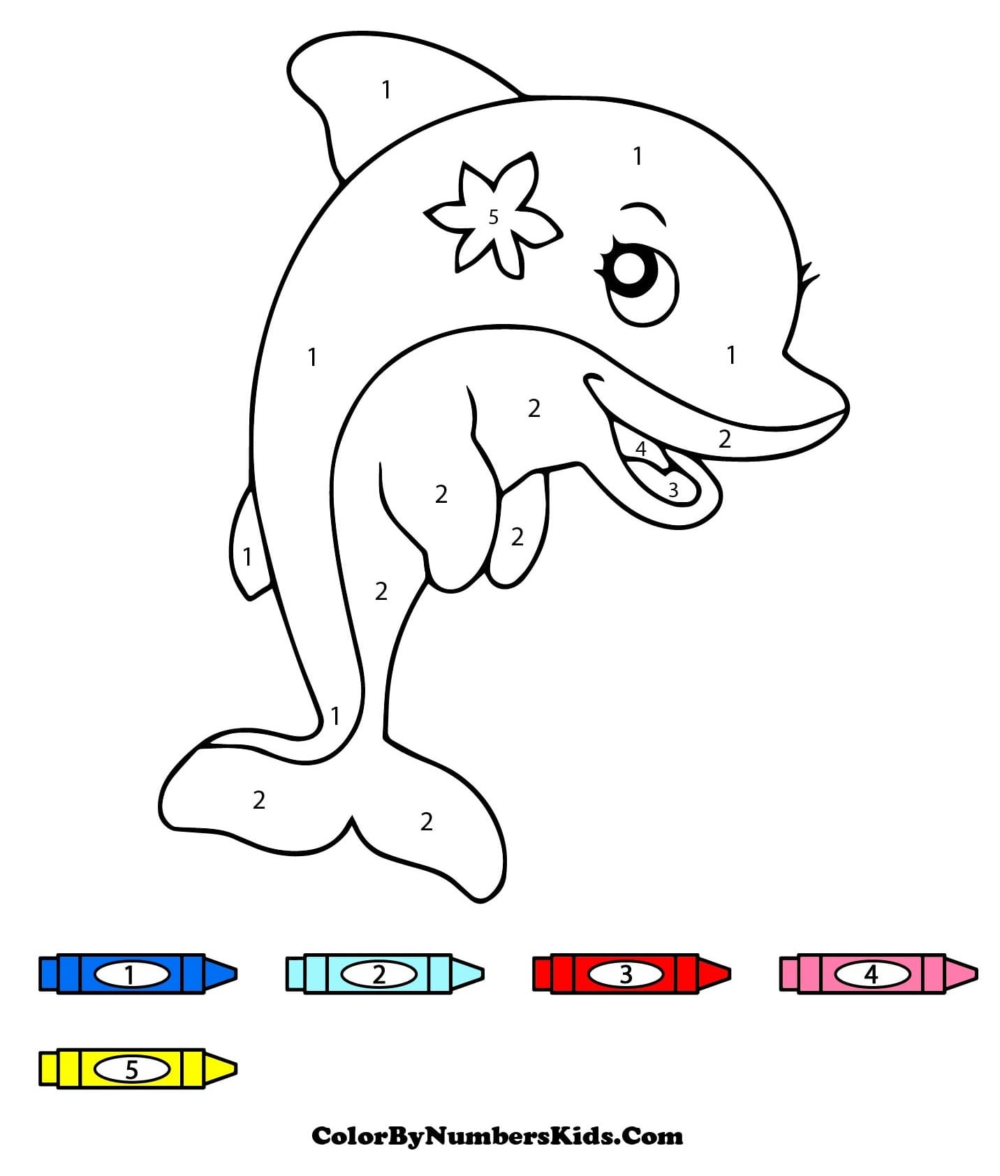 Pretty Dolphin Color By Number