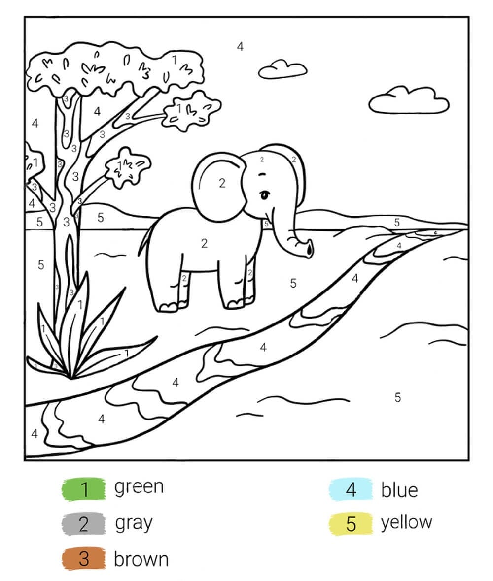 Elephant Color By Number Book