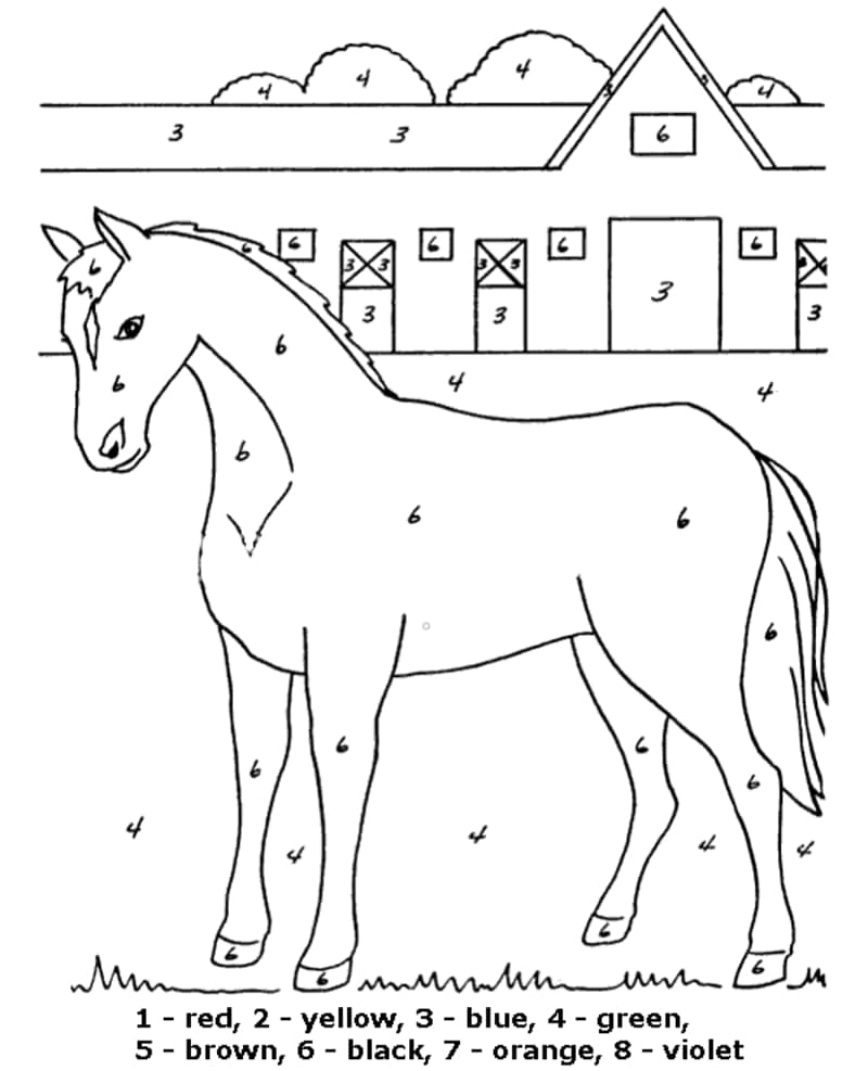 A Horse Color By Number