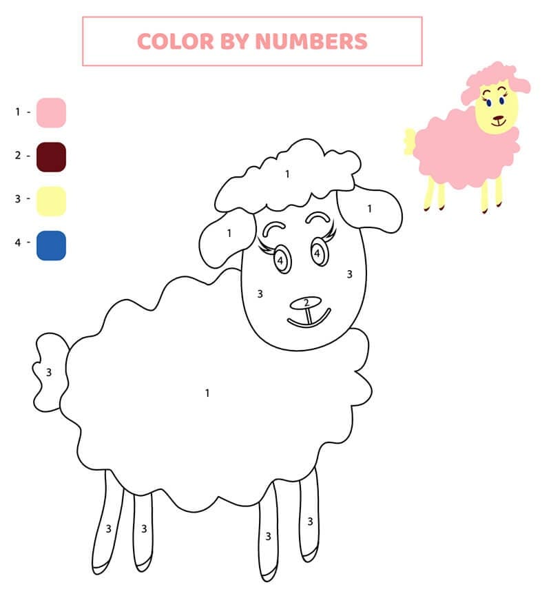 Adorable Sheep Color By Number