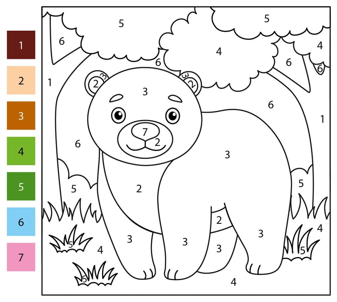 Bear Color By Number Free Printable