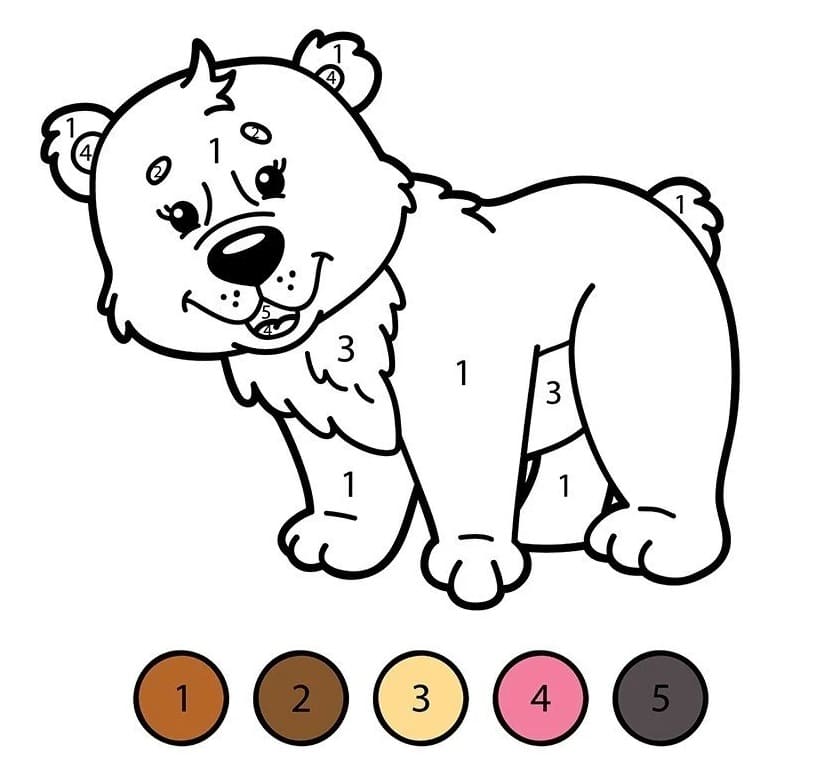 Bear Color By Number Worksheet 04