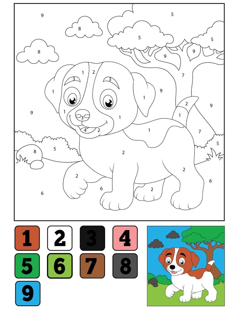 Cute Puppy Color By Number