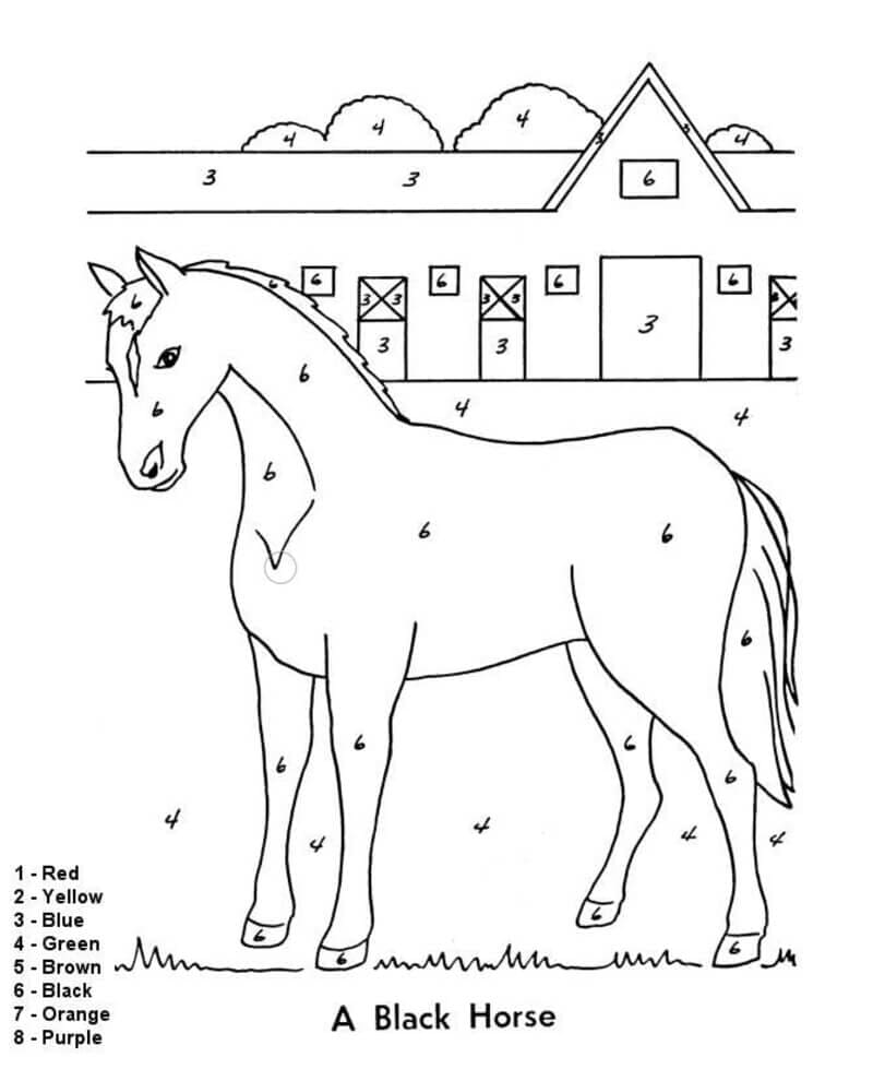 Farm Horse Color By Number