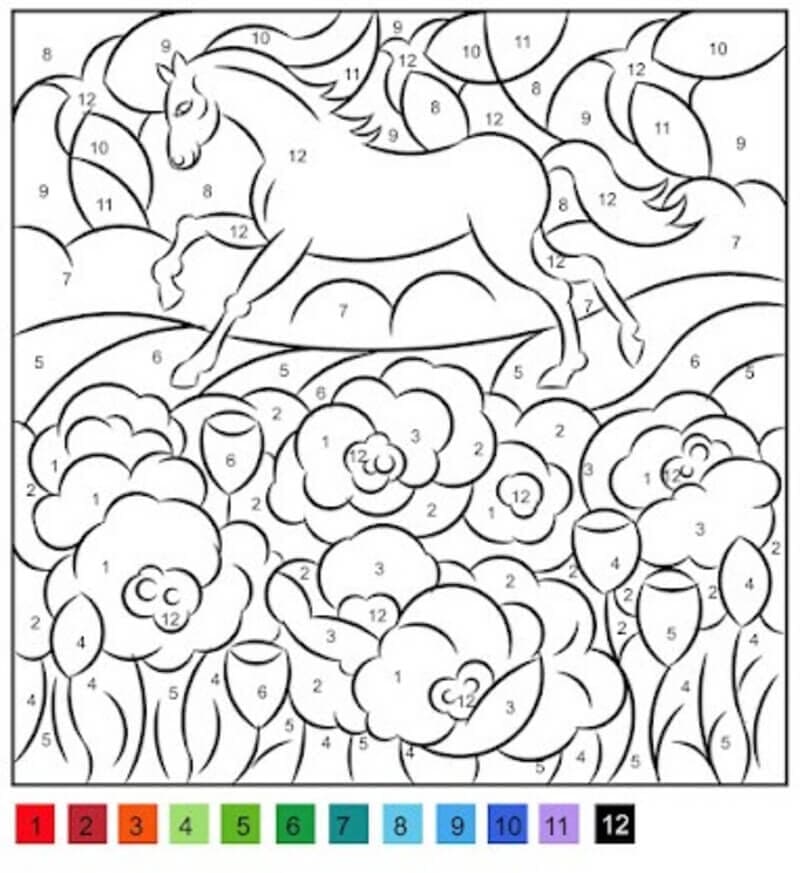 Flowers and Horse Color By Number