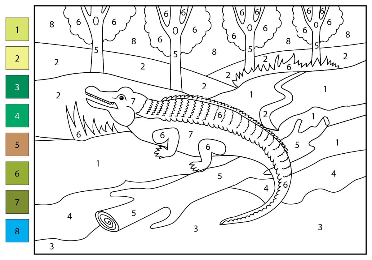 Free Alligator Color by Number