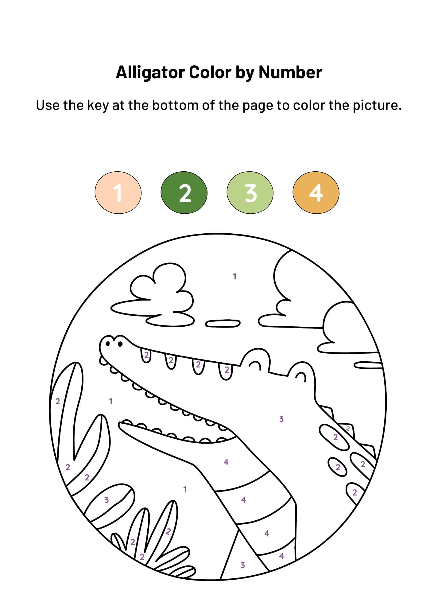 Happy Alligator Color by Number