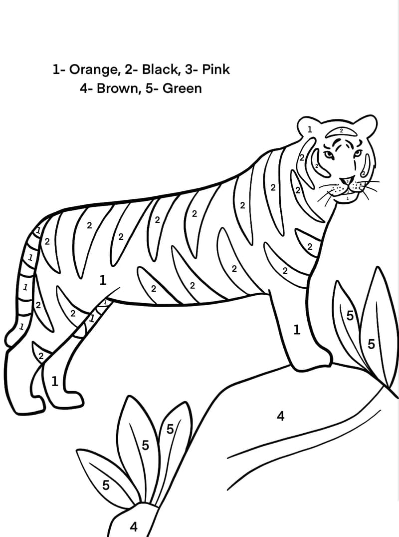 Normal Tiger Color By Number