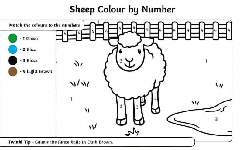 Simple Sheep Color By Number